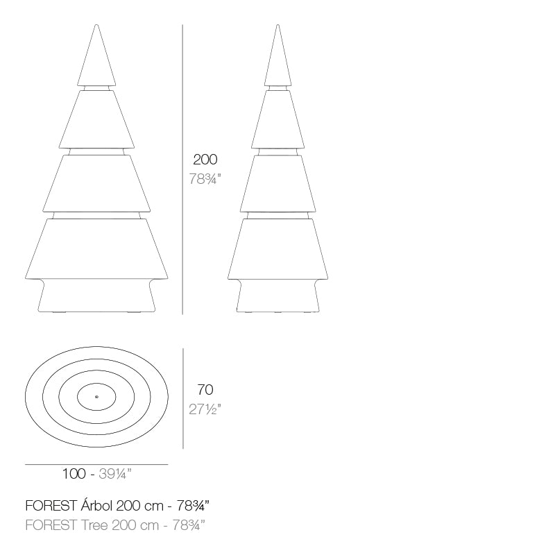 Sapin Lumineux - Forest