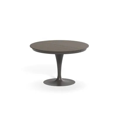 table design extensible pied central