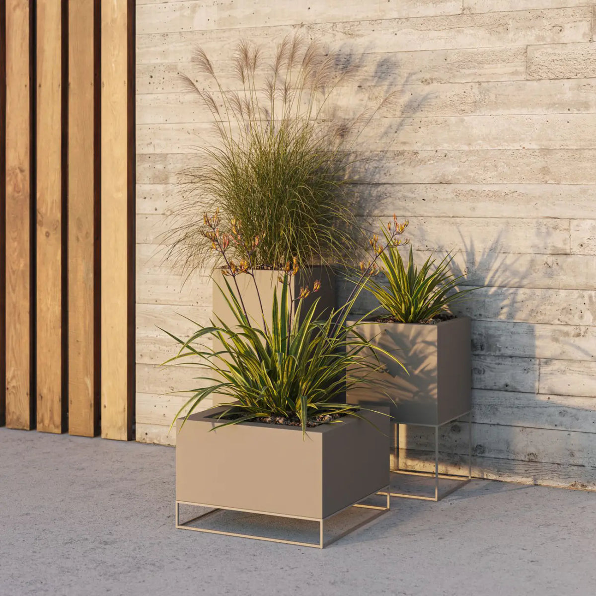 Pots Vela Vondom taupe plantés de graminées devant un mur en bois