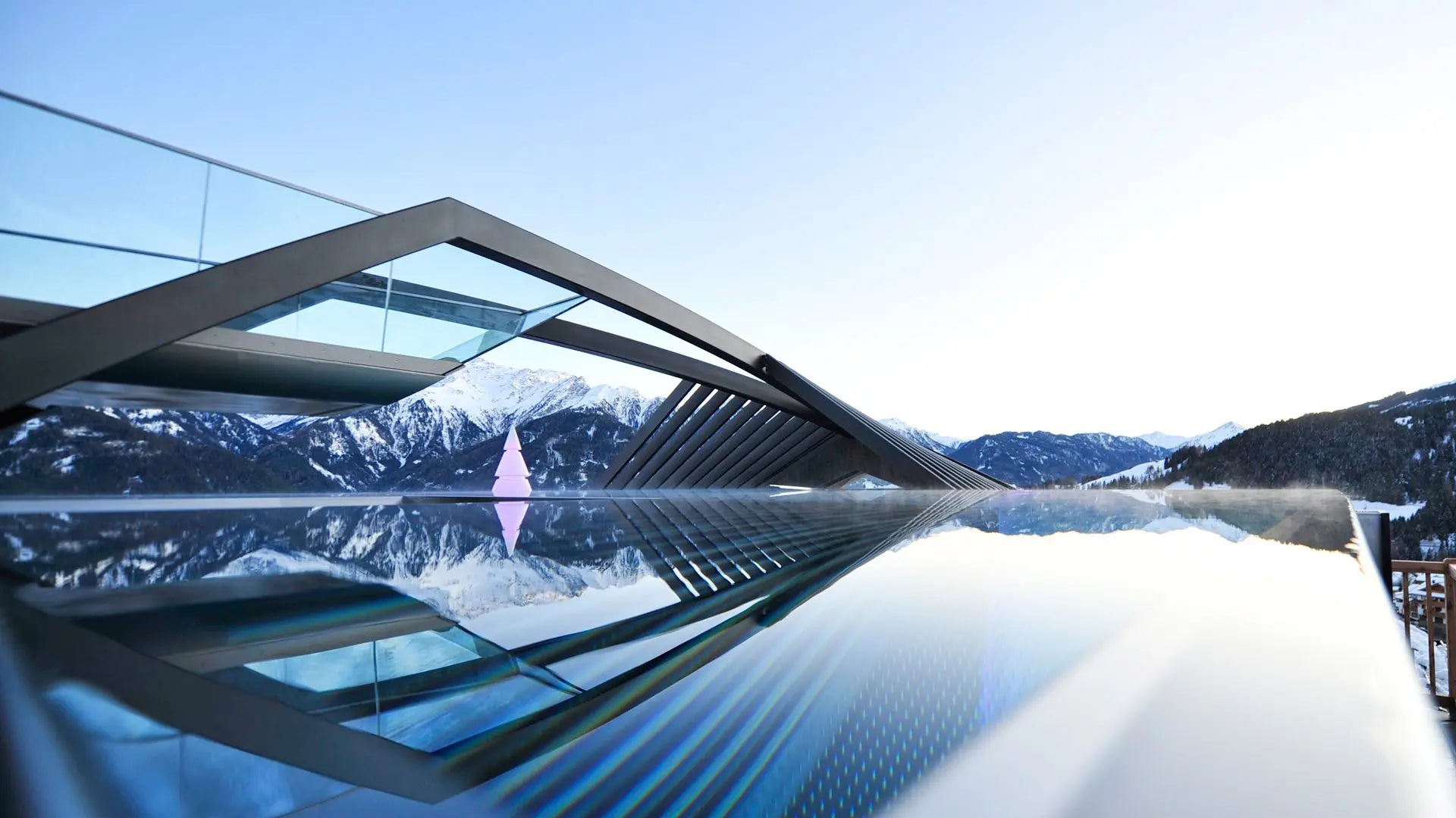 Sapin Lumineux - Forest