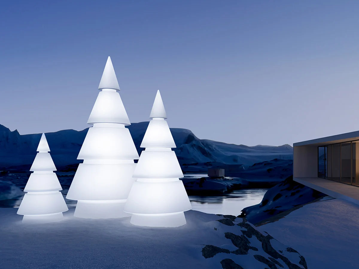 Sapin Lumineux - Forest