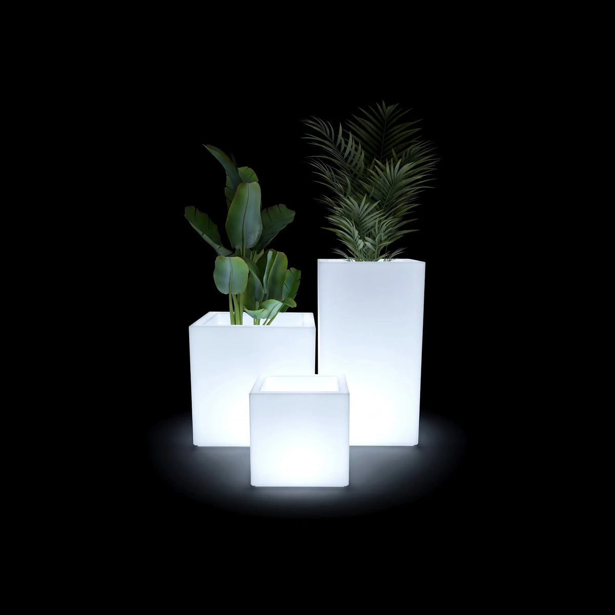Pots Gatsby carrés LED Vondom en plusieurs tailles, allumés de l'intérieur, avec plantes vertes, sur fond noir