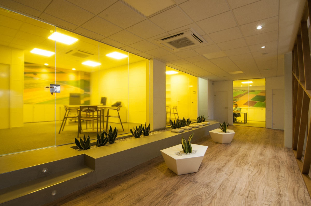 Tables et jardinières Faz de Ramón Esteve dans les bureaux Codiagro à Castellón