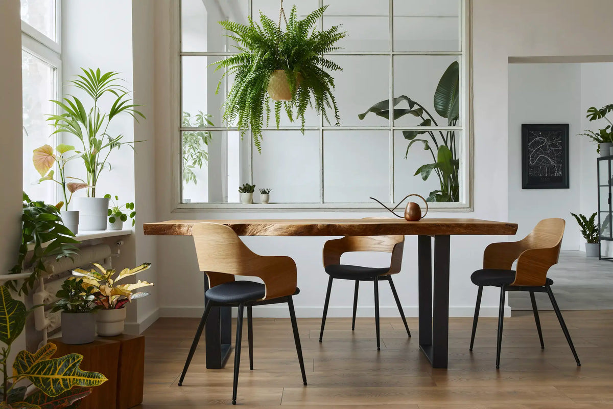 Comment Nettoyer une Table en Bois Naturel ?