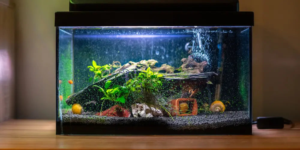Comment Fabriquer une Table Basse Aquarium ?