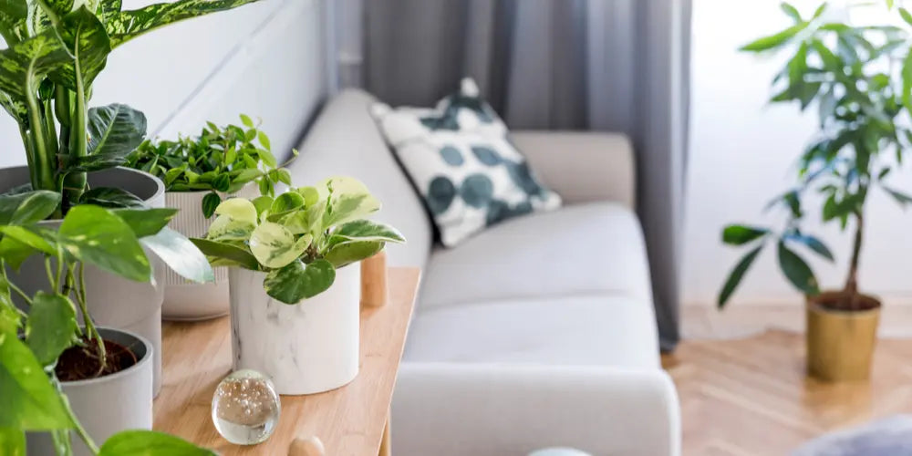 Comment Fabriquer une Table Pliante Suspendue ?