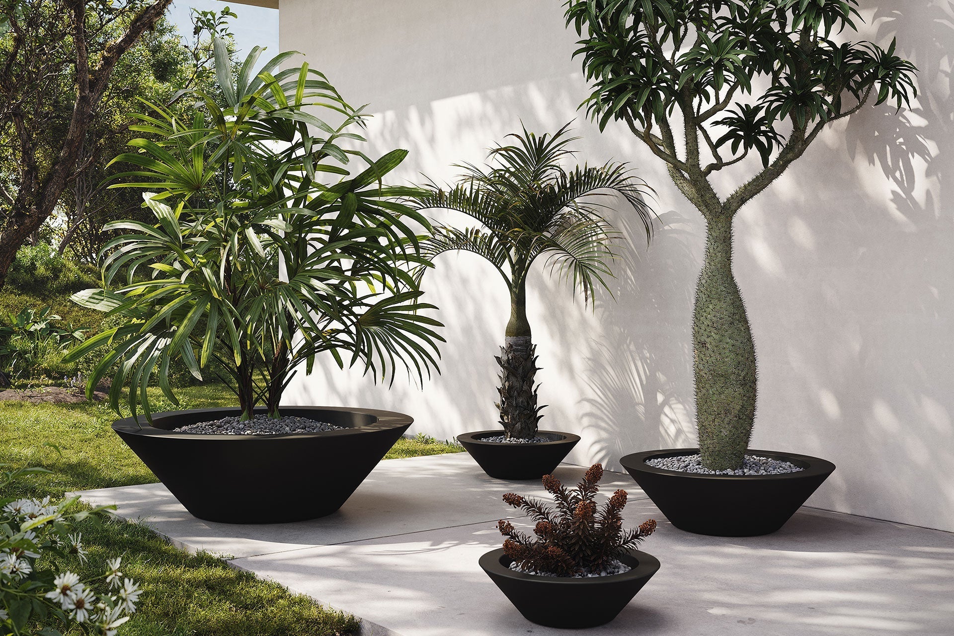Jardinières Grandes Tailles & XXL