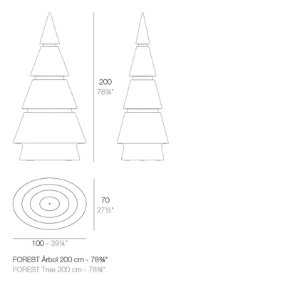 Sapin Lumineux - Forest
