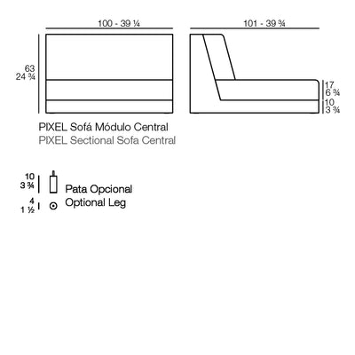 Pixel - Module Central