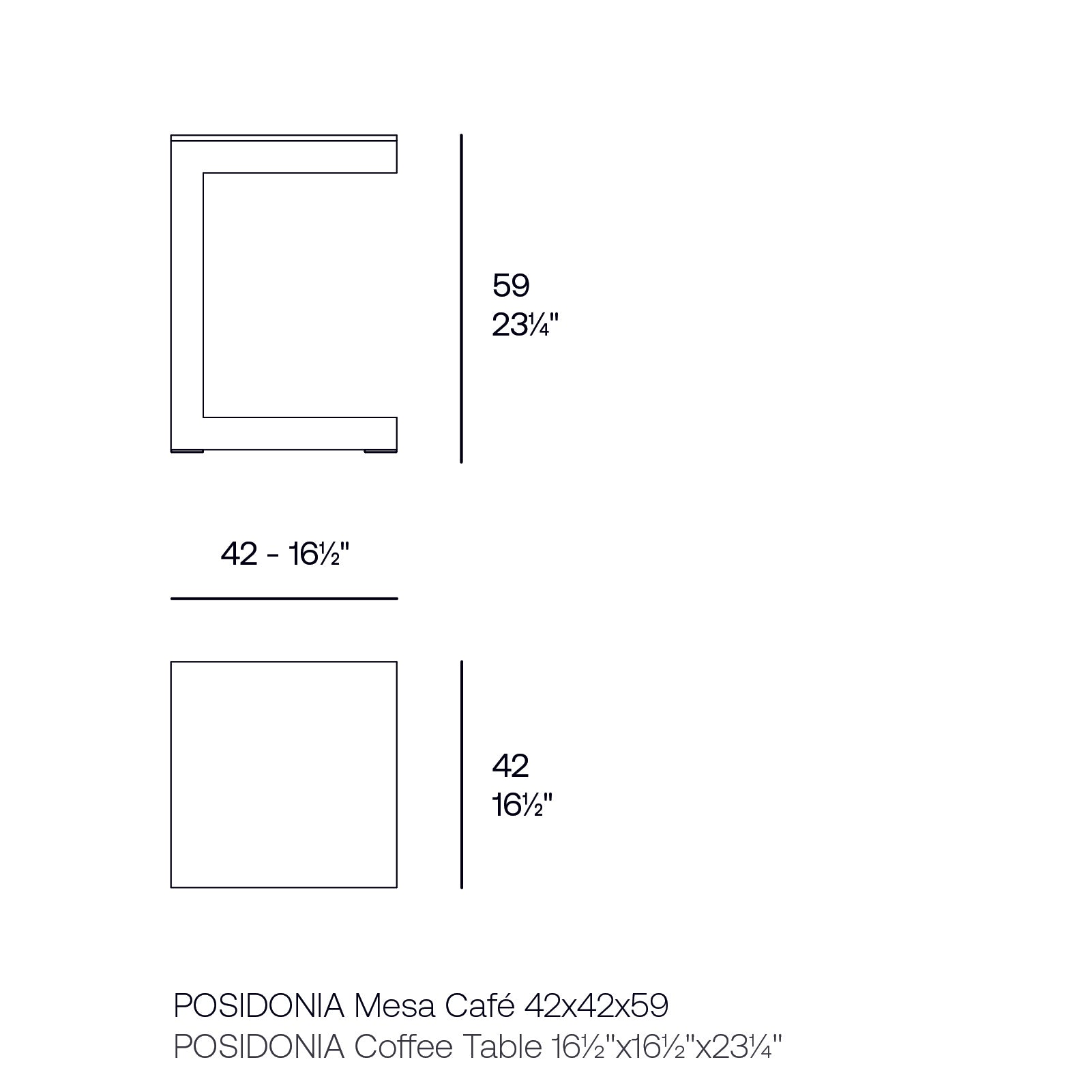 Table Basse - Posidonia