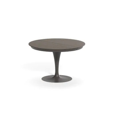 table design extensible pied central