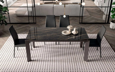 table rectangulaire extensible 12 personnes