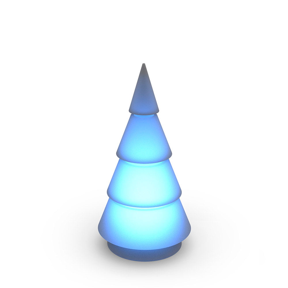 Sapin Lumineux - Forest