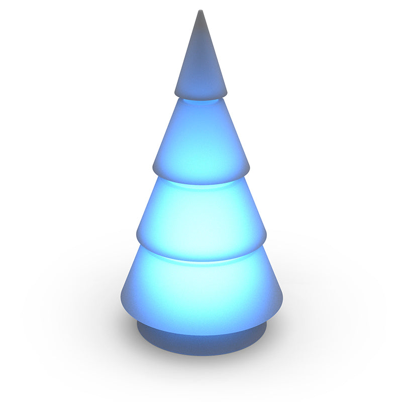 Sapin Lumineux - Forest