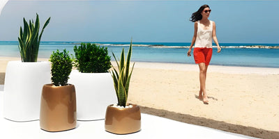 Pot - Organic Carré