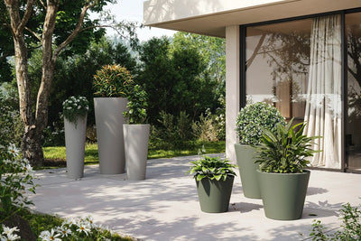 Pot - Cono