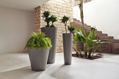 Pot - Cono