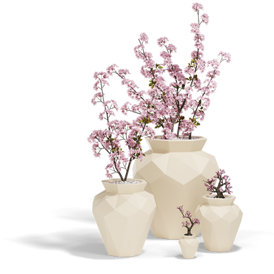 Pot - Hanami