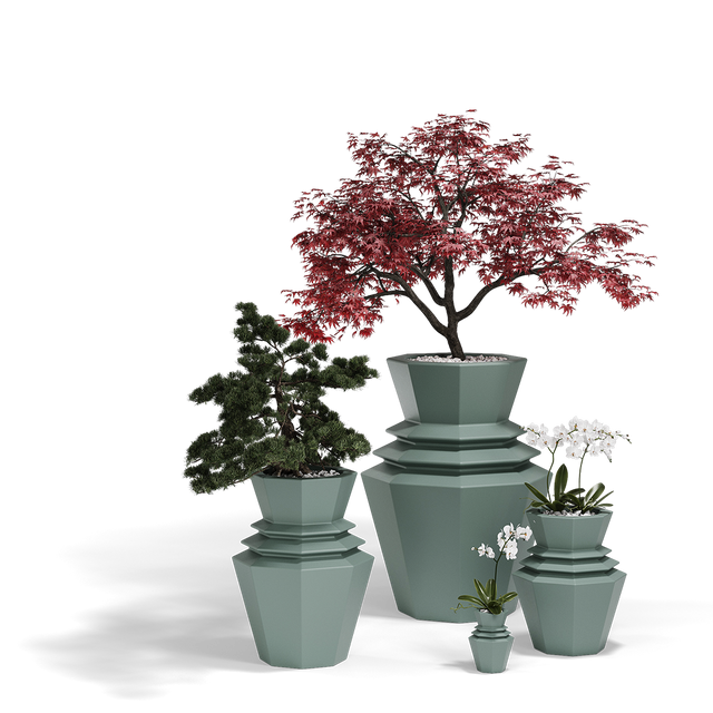 Hinoki