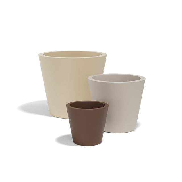 Cono