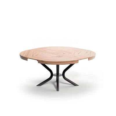 grande table ronde extensible design