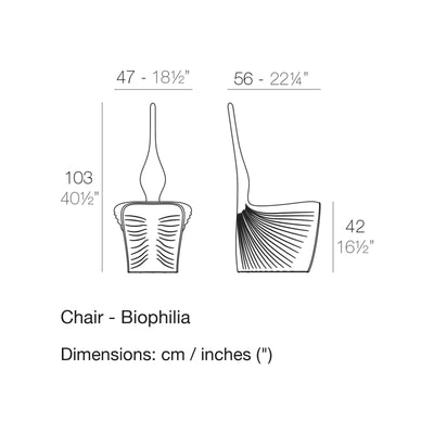 Dimension drawing Chair - Biophilia