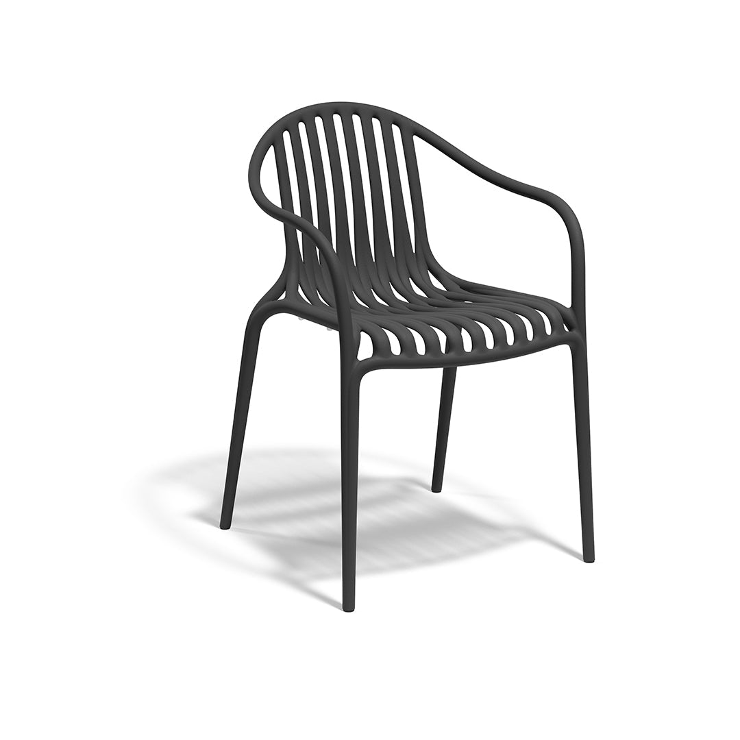 Chaise Plastique Verte Palm Vondom Couleur Noir Collection Pal