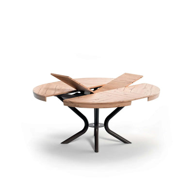 grande table ronde extensible design