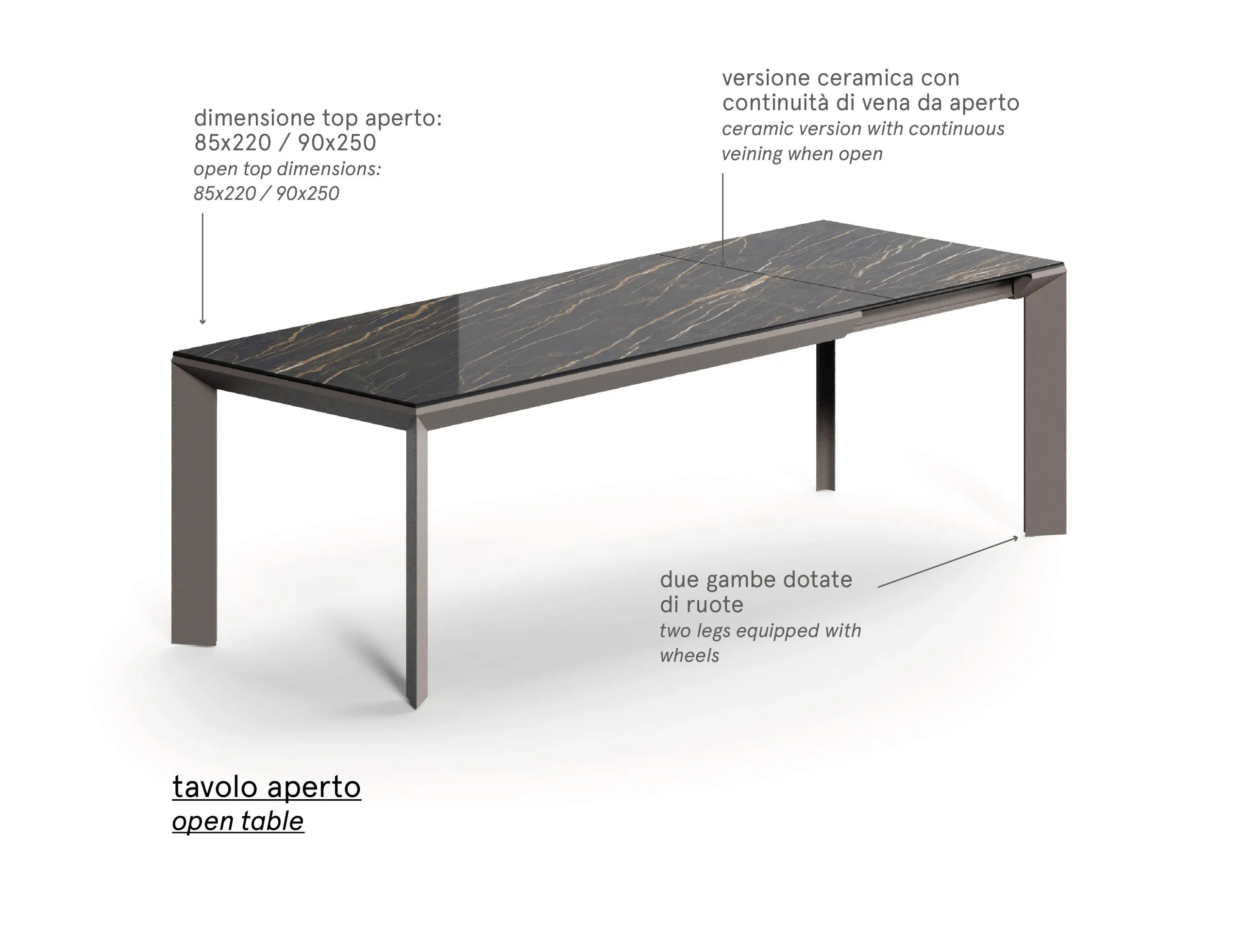 table rectangulaire extensible 12 personnes