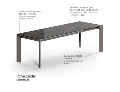 table rectangulaire extensible 12 personnes