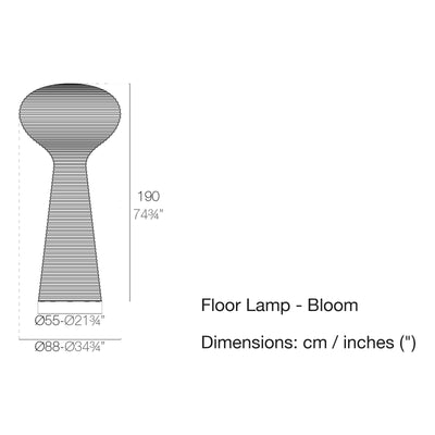 Dimension drawing Floor Lamp - Bloom