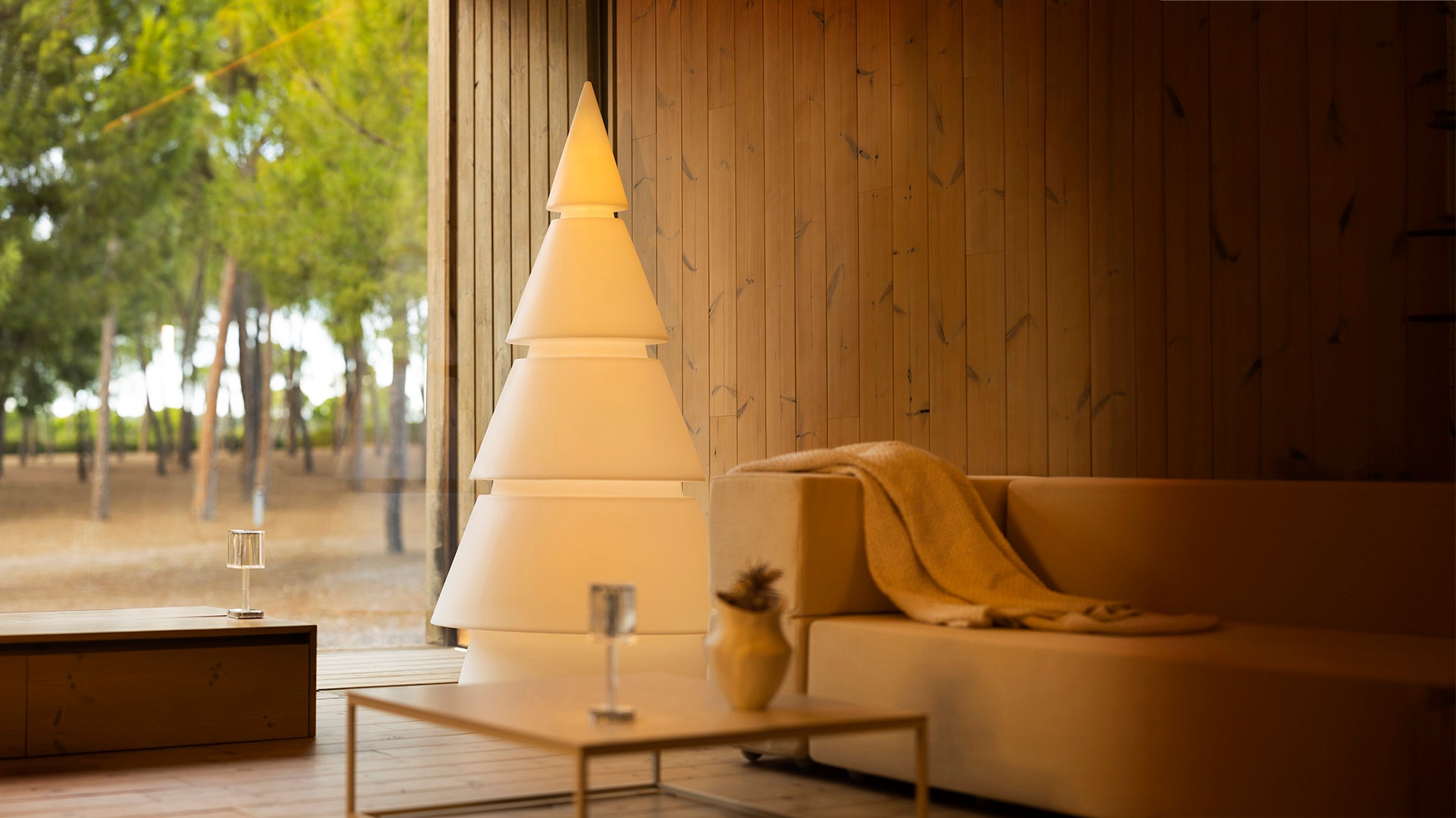 Sapin Lumineux - Forest