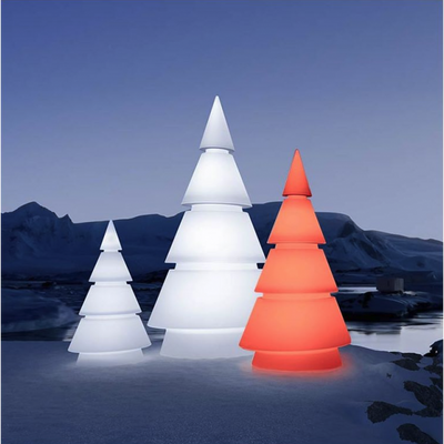 Sapin Lumineux - Forest