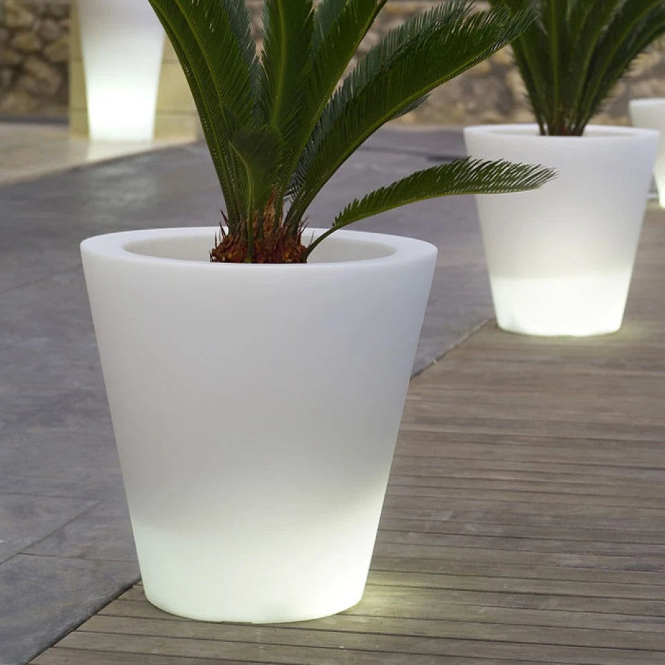 Pots Cono LED Vondom lumineux plantés de cycas le long d'une allée