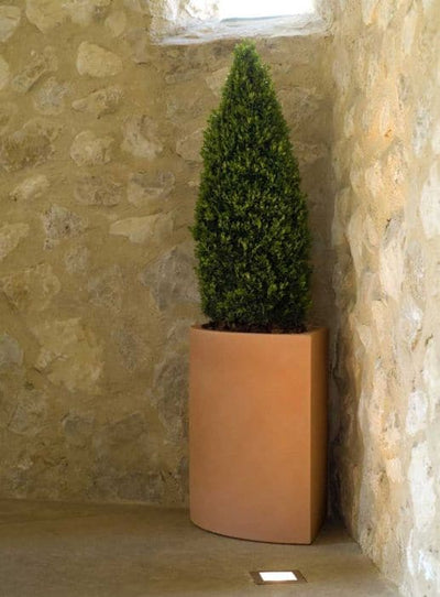 Pot - Angle