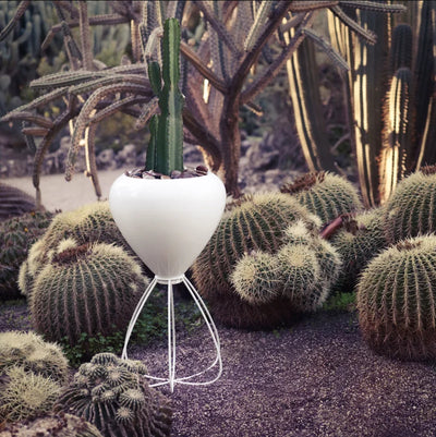 Pot de Fleurs sur pied Pal II Vondom blanc parmi des cactus