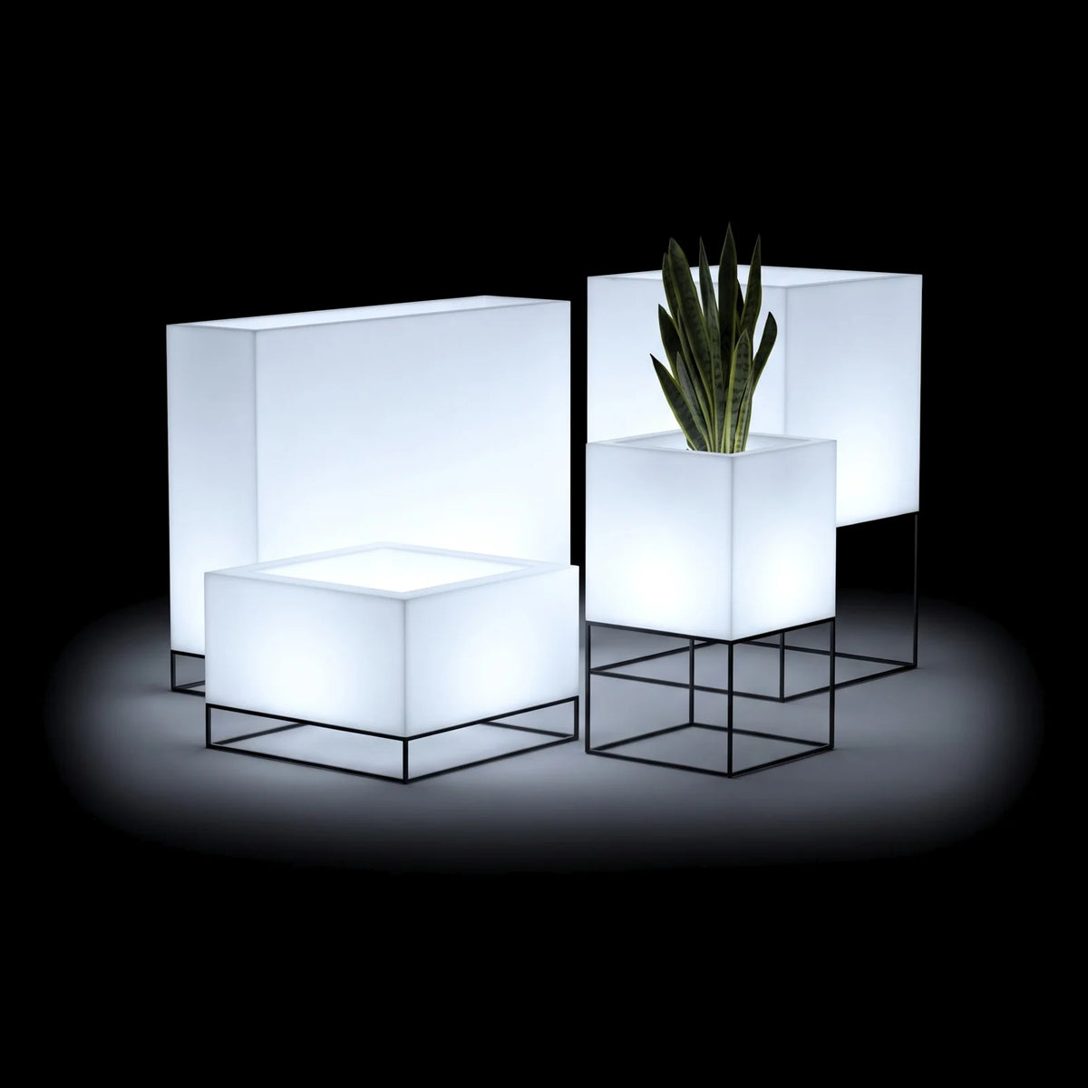 Pots Vela LED Vondom en plusieurs tailles, bacs allumés sur pieds en acier noir, sur fond noir