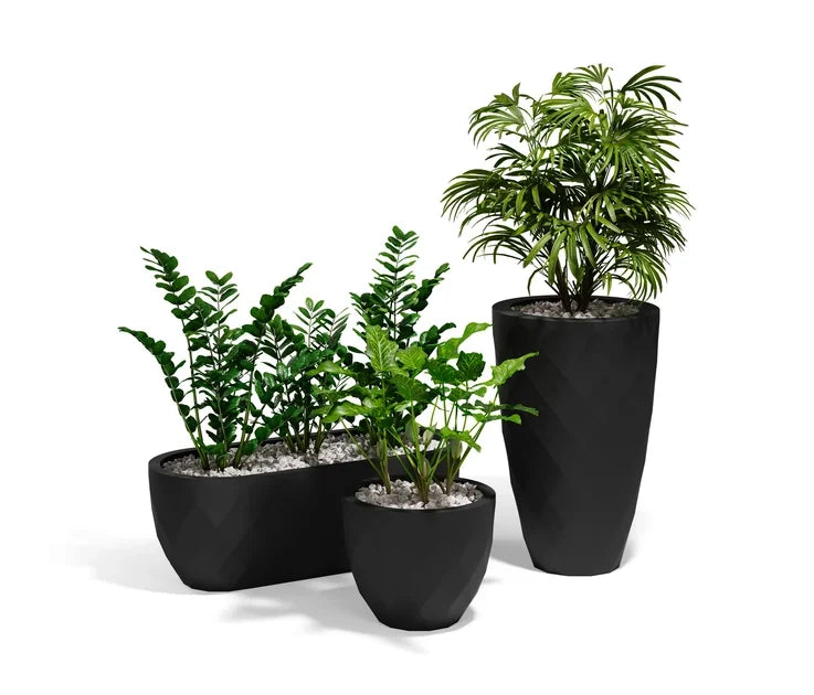 Trois Pots de Fleurs Vases Vondom noirs plantés