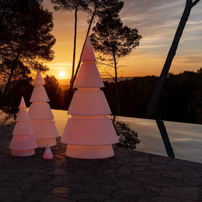 Sapin Lumineux - Forest